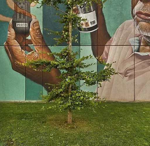 Apartamento Vrs - Centre Trindade