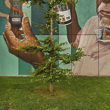 Apartamento Vrs - Centre Trindade